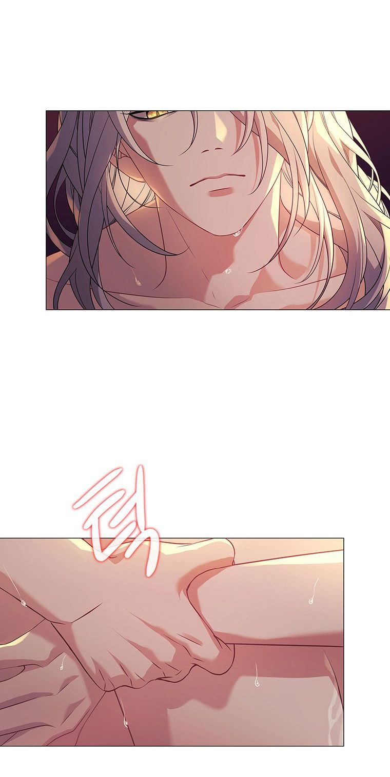[18+] Ve Vãn, Mê Hoặc Hồ Ly